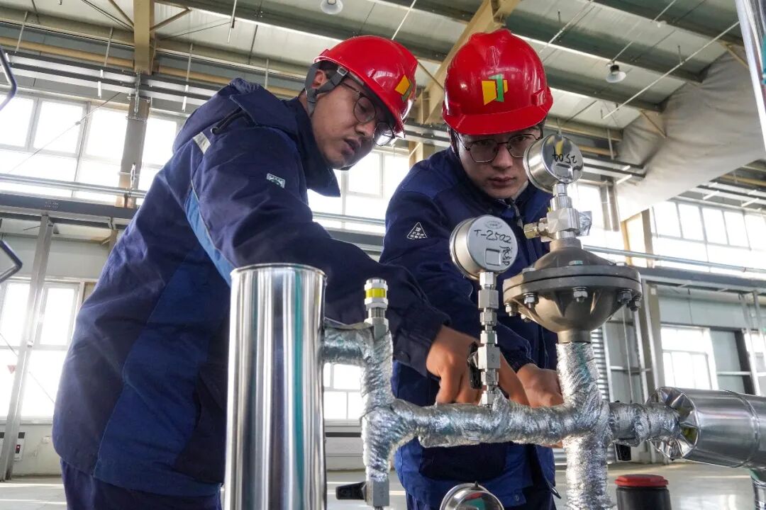 1769675944153392.jpg 1769675944153392.jpg